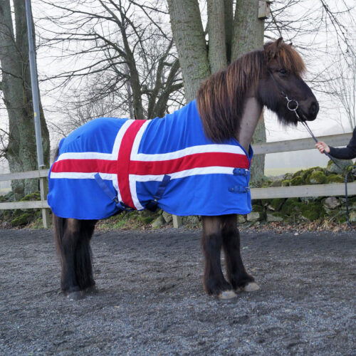 Fleecetäcke Iceland för hästen